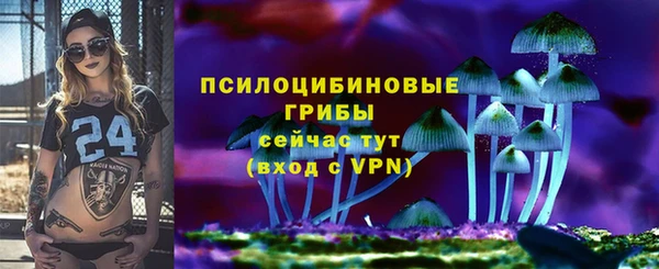 тгк Алексеевка