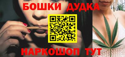 spice Обь