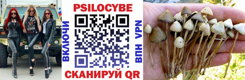 MEGA ССЫЛКА  Чистополь  Галлюциногенные грибы ЛСД 