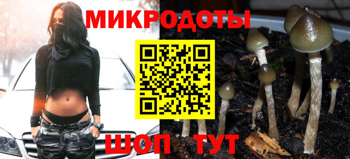 Псилоцибиновые грибы GOLDEN TEACHER  Галлюциногенные грибы ЛСД  Вход с VPN  Чистополь 